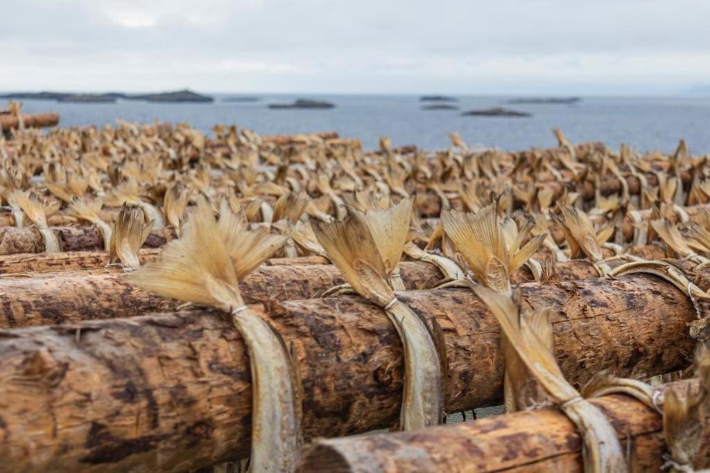 Lofoten Holiday Kabelvåg Екстериор снимка